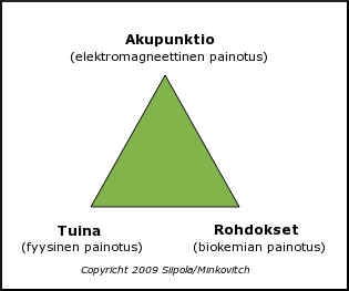 kiinalaisen l��ketieteen toiminnallinen kokonaisuus